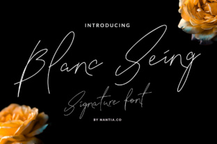 Blanc Seing: A Script Font for Modern Web Design