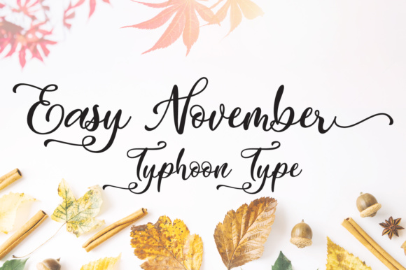 Easy November: The Font That Elevates Your Campaigns