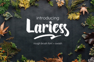 Font That Elevates Your Brand: Lariess for Business Owners