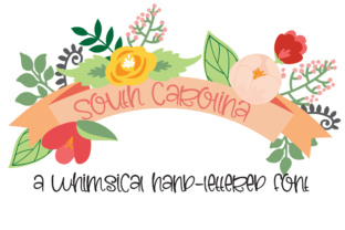 PN South Carolina: A Font That Fits the Curve of Branding